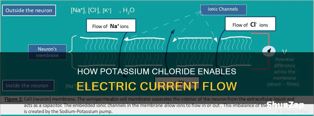 does potassium chloride allow electricity to flow