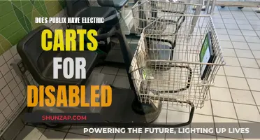Electric Shopping Carts: Publix's Offer to the Disabled
