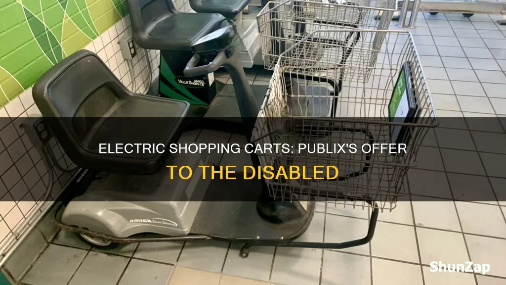 does publix have electric carts for disabled