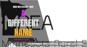 A Name Change for Rea Electric? Understanding the Reasoning