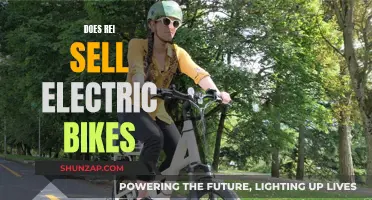 Electric Bikes at REI: What's Available and What to Expect