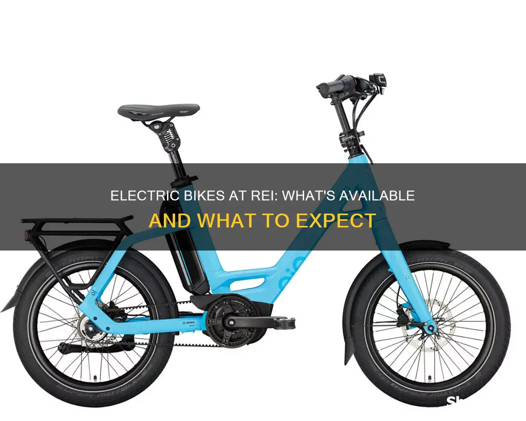 does rei sell electric bikes