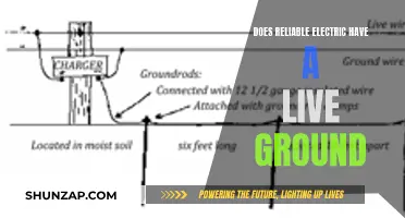 Understanding Reliable Electric's Live Ground System Better