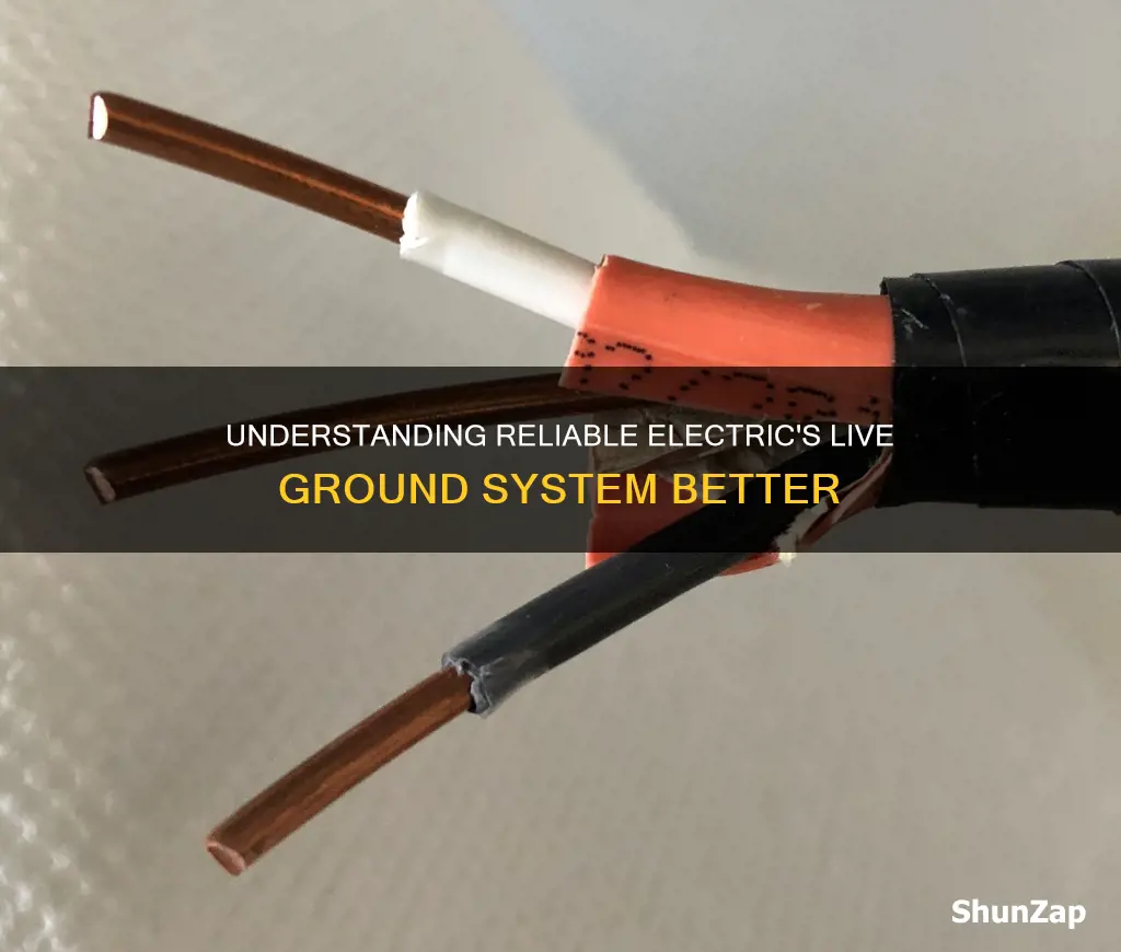 does reliable electric have a live ground