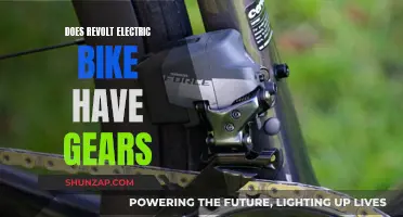 Revolt Electric Bike: Geared Up or Gearless Wonder?