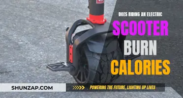 Electric Scooting: Fun, But Does It Burn Calories?