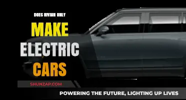Rivian's Focus: Electric Cars and Beyond – What They Make