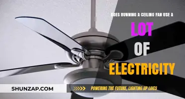 Ceiling Fan Energy Usage: How Much Electricity Does It Consume?