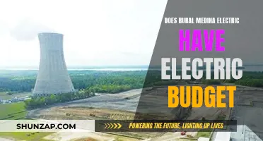 Medina Electric: Understanding Your Electric Budget