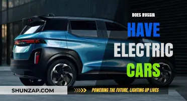 Exploring Russia's Electric Vehicle Market: Availability, Adoption, and Future Trends