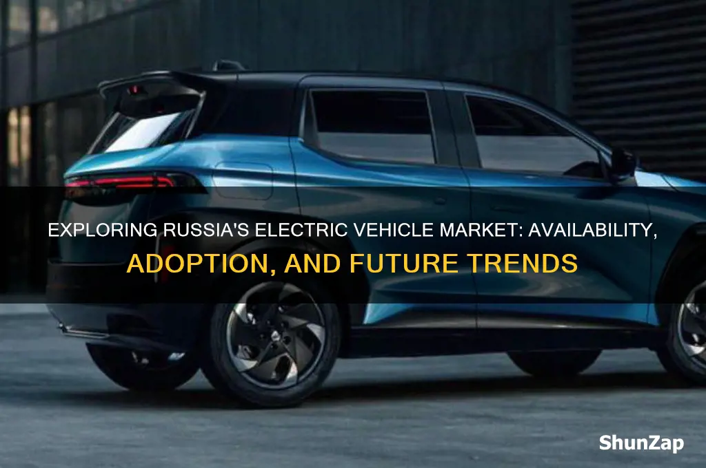 does russia have electric cars