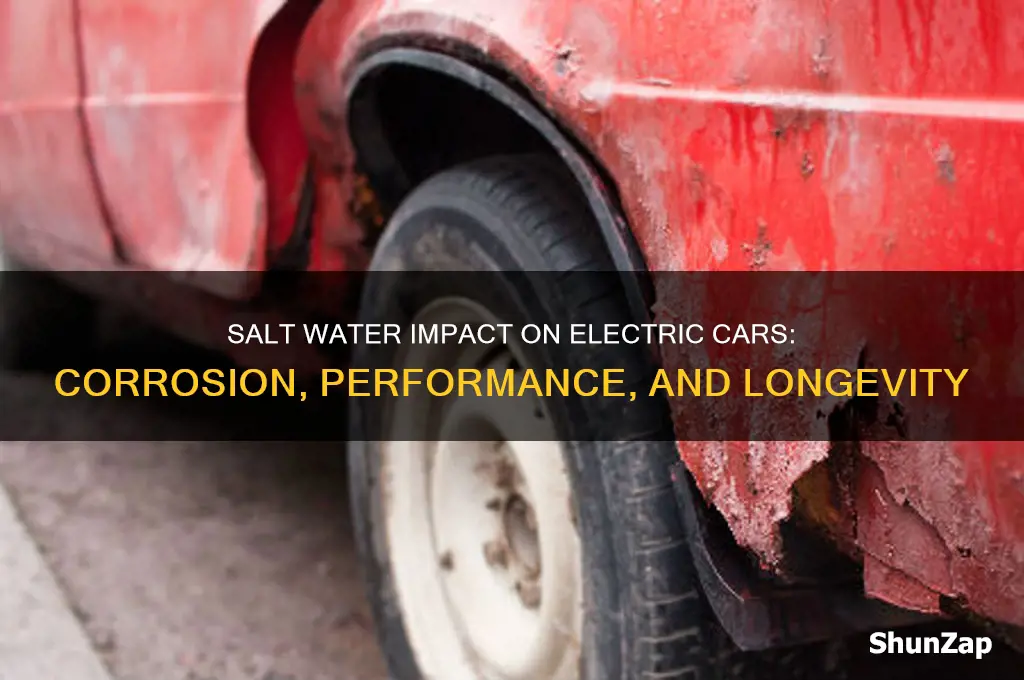 does salt water affect electric cars