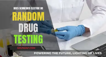 Schneider Electric's Random Drug Testing Policy: What to Know