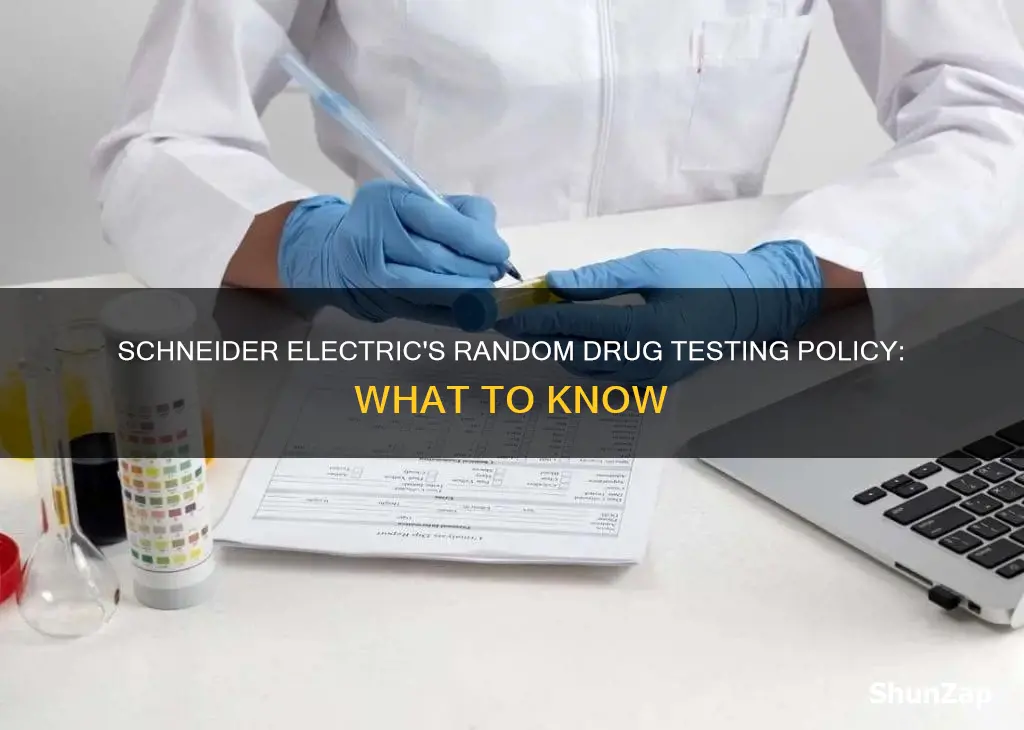 does schneider electric do random drug testing