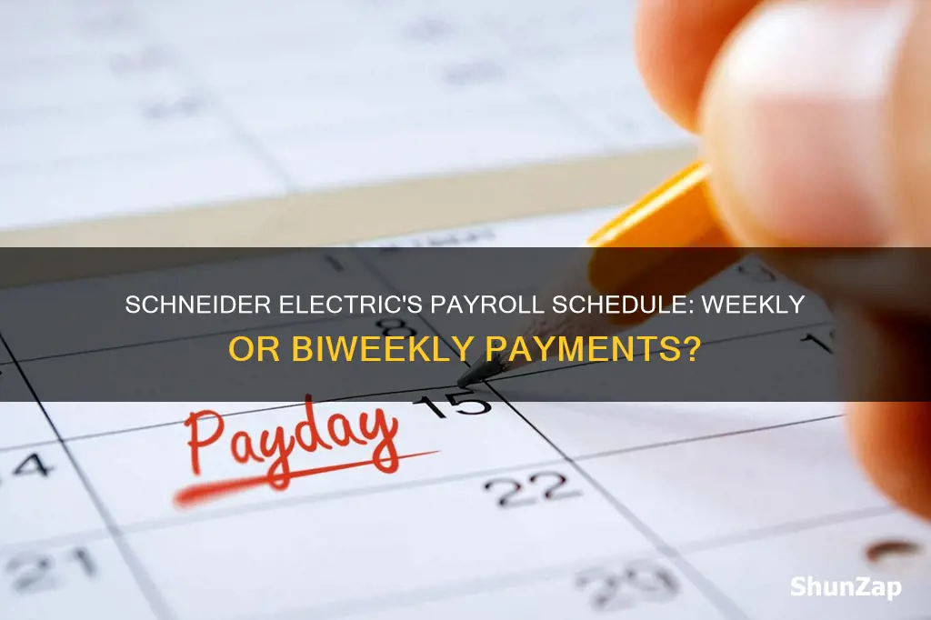 does schneider electric pay weekly or biweekly