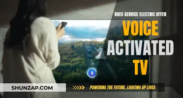Voice-Activated TV: Service Electric's Innovative Offering