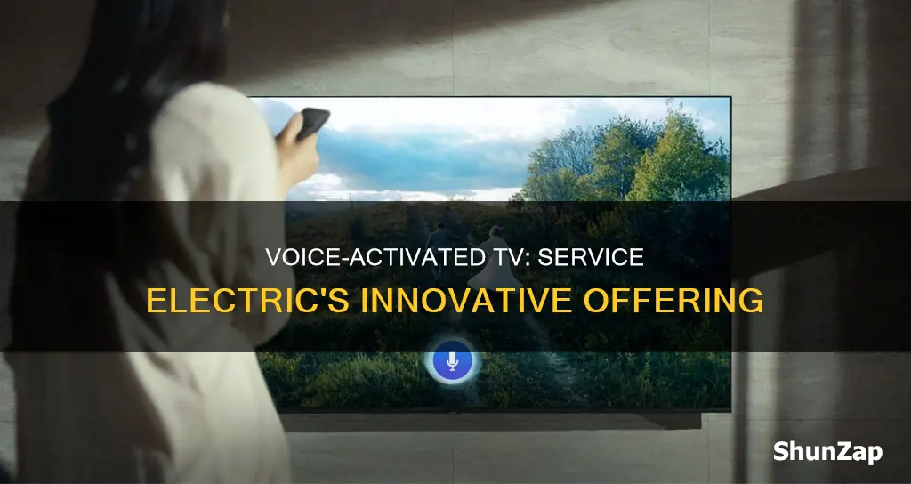 does service electric offer voice activated tv