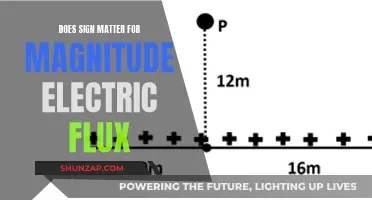Sign Sensitivity in Electric Flux Magnitude: Understanding the Relationship