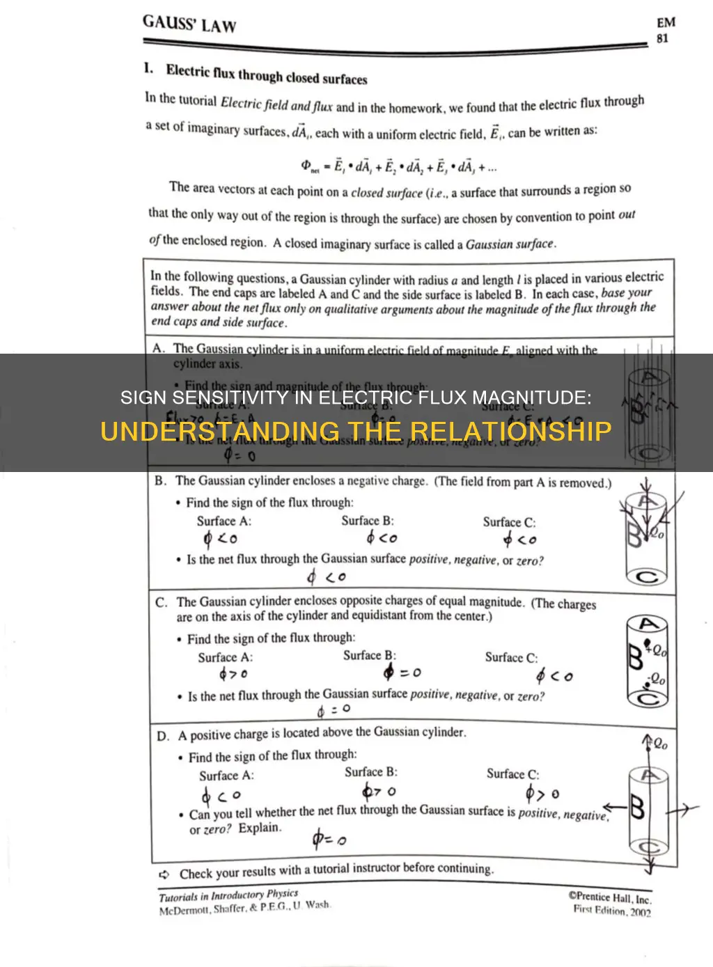 does sign matter for magnitude electric flux