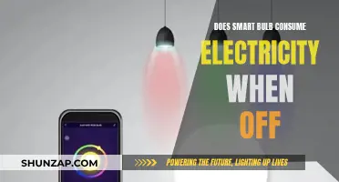 Smart Bulbs: Energy Vampires or Saviors?