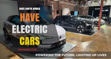 Exploring South Africa's Electric Car Scene: Availability and Adoption Trends
