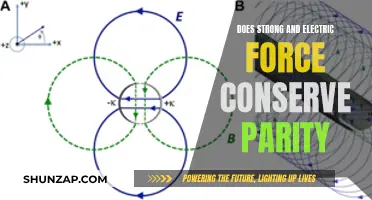 Parity and Forces: Strong vs Electric Interactions