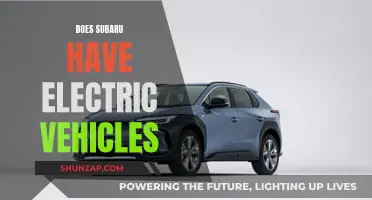 Subaru's Electric Vehicle Plans: What's the Current Status?