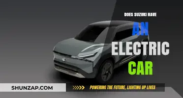 Does Suzuki Offer an Electric Car? Exploring Their EV Lineup