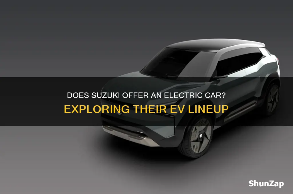 does suzuki have an electric car