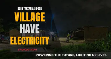 Tanzania's Rural Electrification: Powering Poor Villages