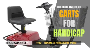 Target's Electric Cart Accessibility for Shoppers with Disabilities
