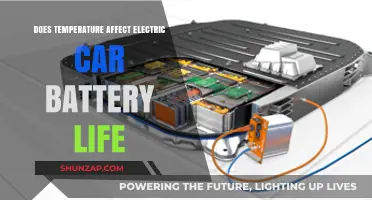 How Temperature Impacts Electric Vehicle Battery Performance and Longevity