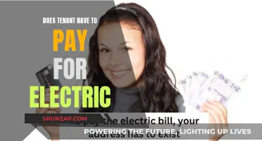 Electric Bills: Who Pays, Landlord or Tenant?