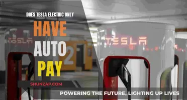 Auto Pay: The Only Payment Option for Tesla Electric?