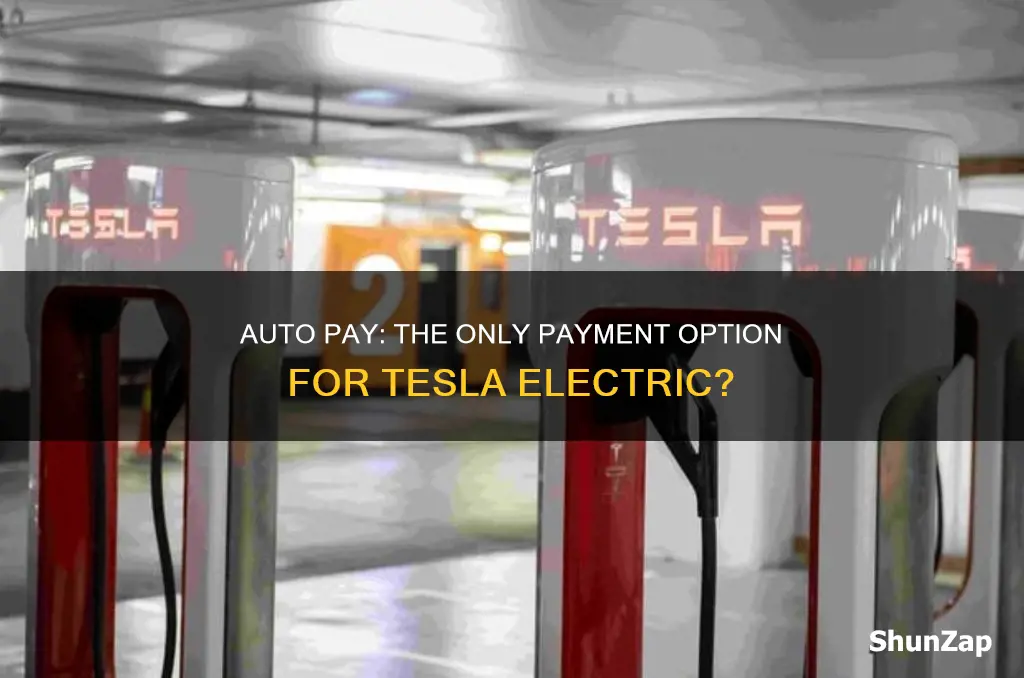does tesla electric only have auto pay
