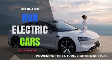 Does Tesla Offer Non-Electric Cars? Exploring Tesla's Vehicle Lineup