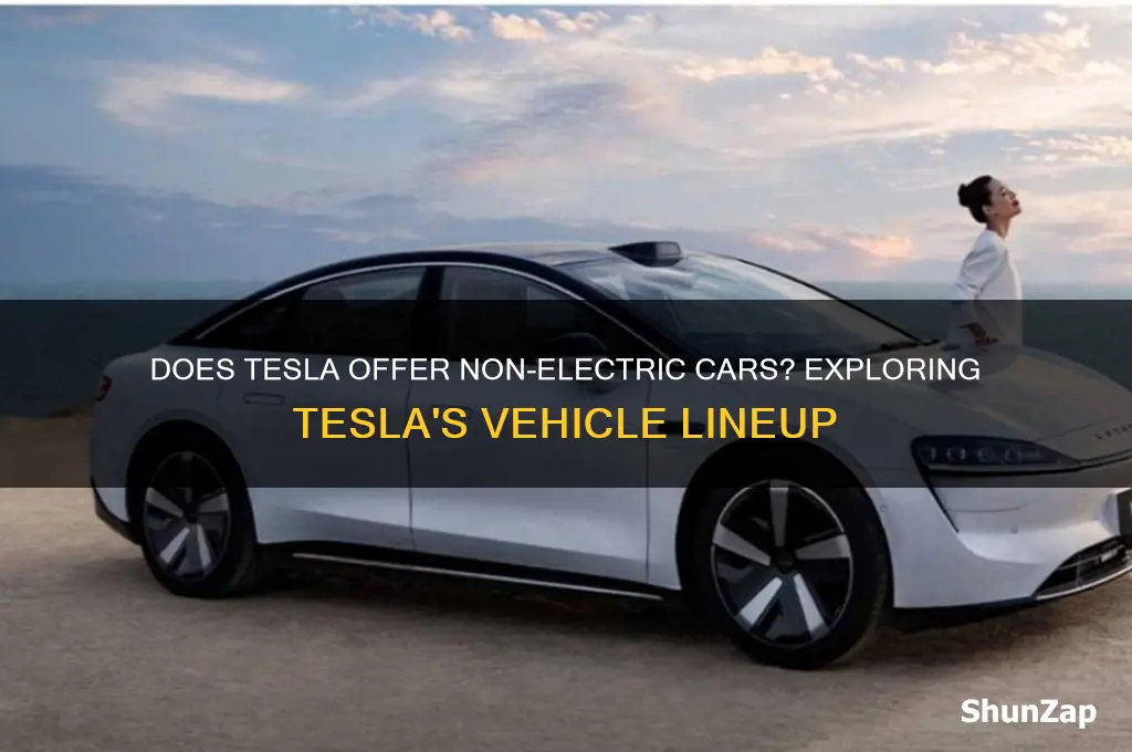 does tesla have non electric cars
