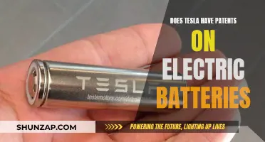 Tesla's Electric Battery Patents: Innovation and Ownership