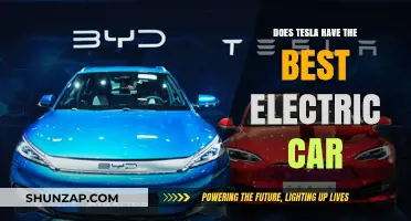 Is Tesla's Electric Car the Top Choice in the Market?