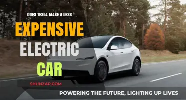 Affordable Tesla Options: Exploring Budget-Friendly Electric Vehicles
