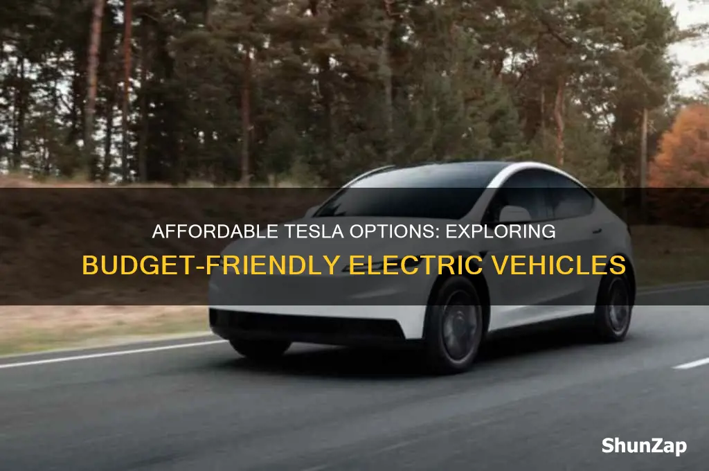 does tesla make a less expensive electric car