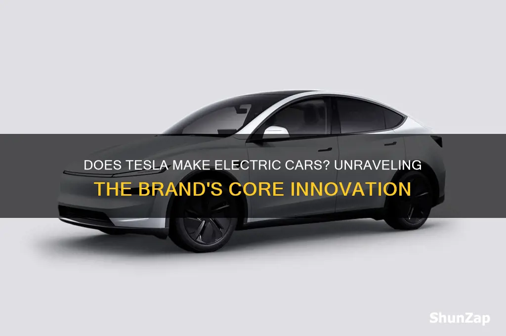 does tesla make electric cars