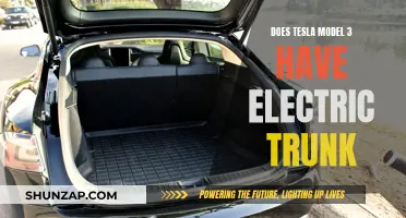 Trunk Space in Tesla Model 3: Electric or Manual?