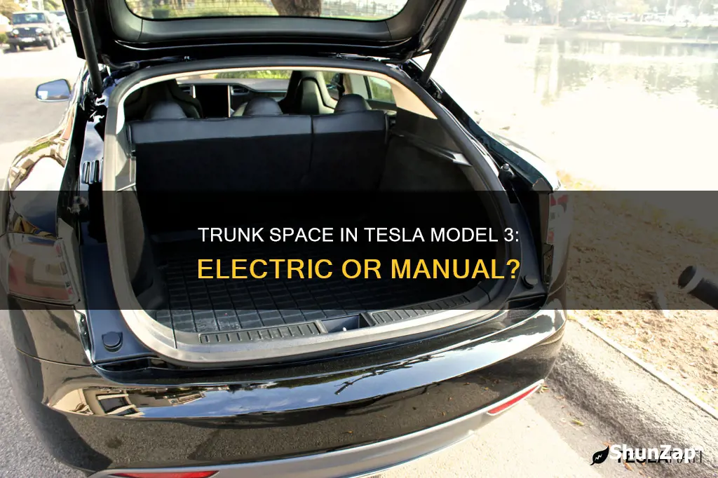 does tesla model 3 have electric trunk