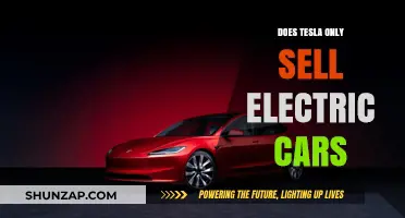 Does Tesla Only Sell Electric Cars? Exploring Their Product Lineup