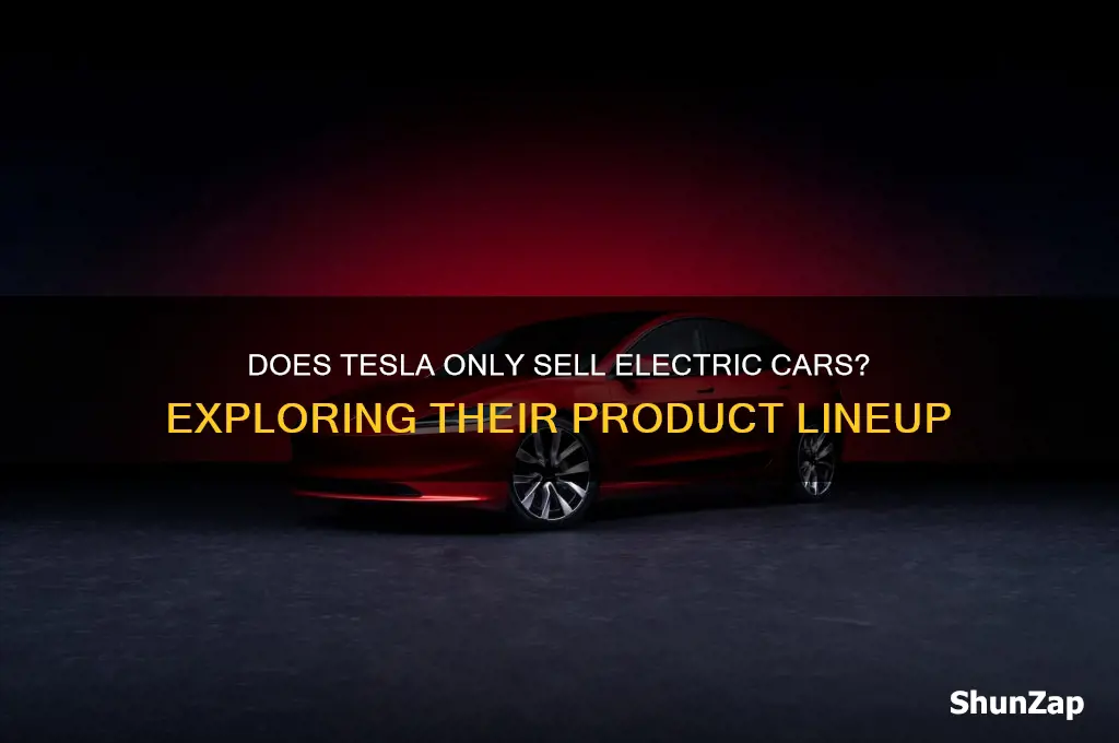 does tesla only sell electric cars