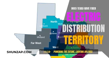 Texas Electric Distribution: Fixed Territories or Open Competition?