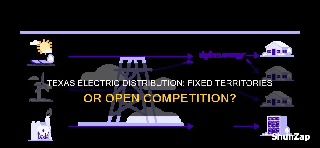does texas have fixed electric distribution territory