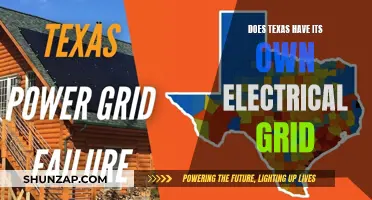 Texas' Lone Power Grid: How and Why?