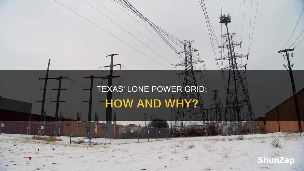 does texas have its own electrical grid